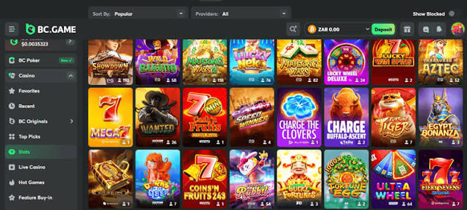 Discover BC.Game Argentina Casino The Ultimate Gaming Experience
